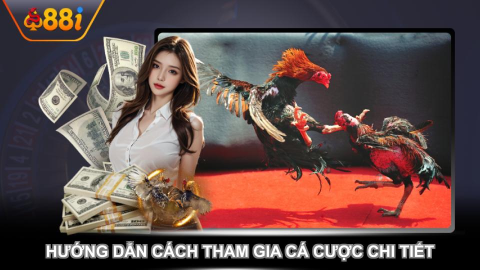 Đá gà WS168